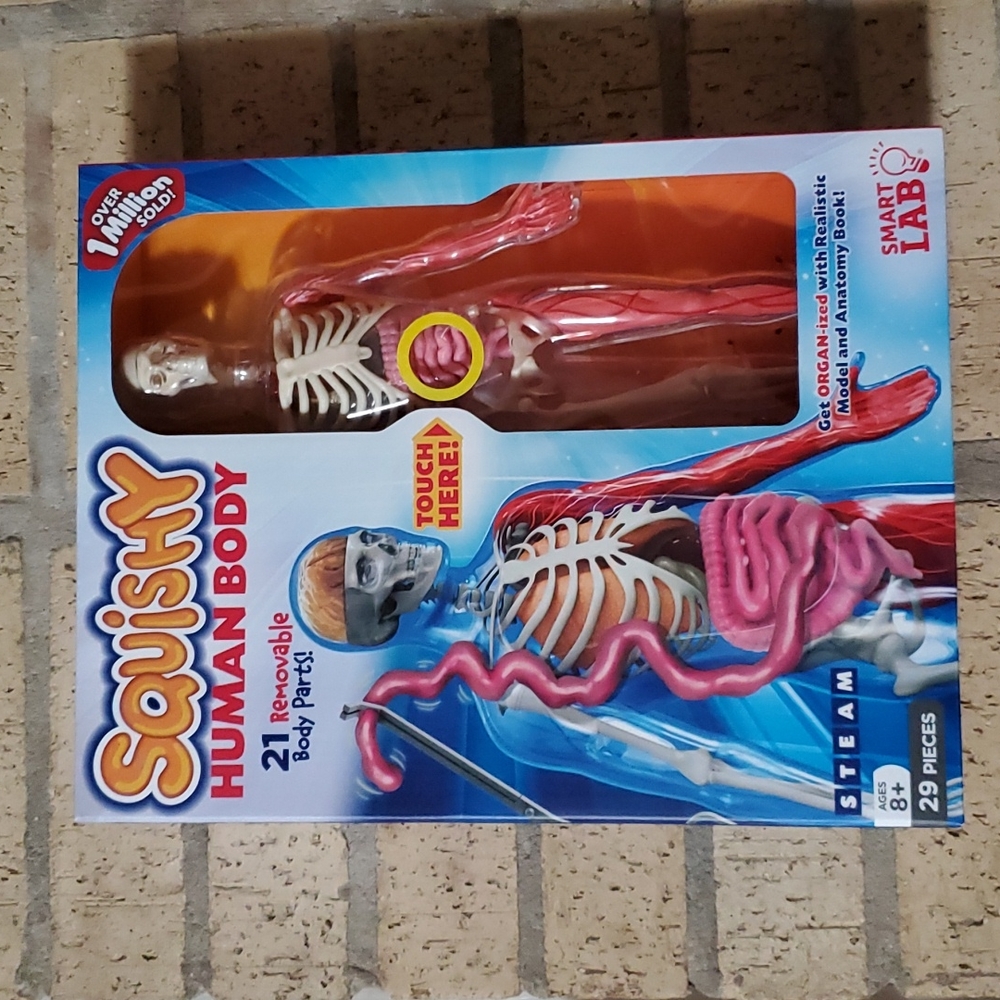 Smart Lab Squishy Human Body